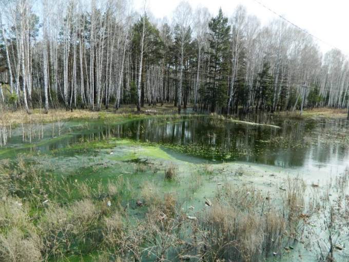 Фекальное озеро грозит затопить чебаркульский поселок Каширина