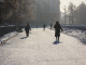 Синоптик Пулин: 21 декабря в Екатеринбурге стало самым теплым почти за 150 лет