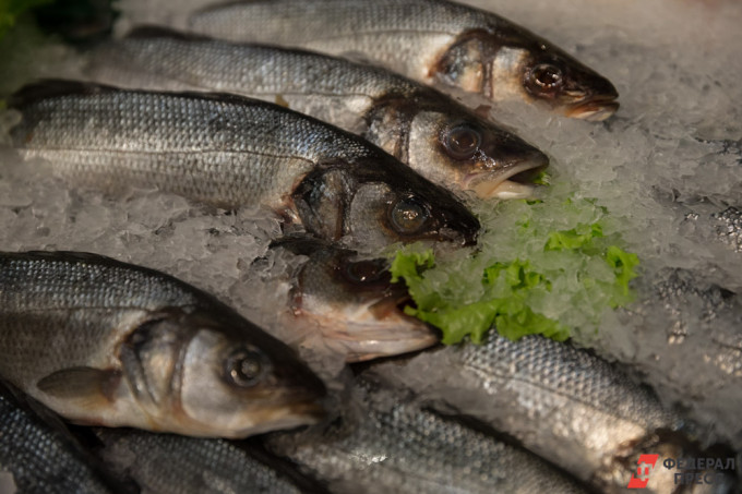 Тюменца оштрафовали за незаконный оборот более 143 тонн рыбы