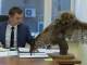 Южноуральский чиновник из Минэкологии украсил кабинет чучелом совы из Красной книги и разозлил зоозащитников