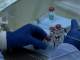 В Свердловской области резко возросло количество заболевших коронавирусом. За сутки заразились 349 человек