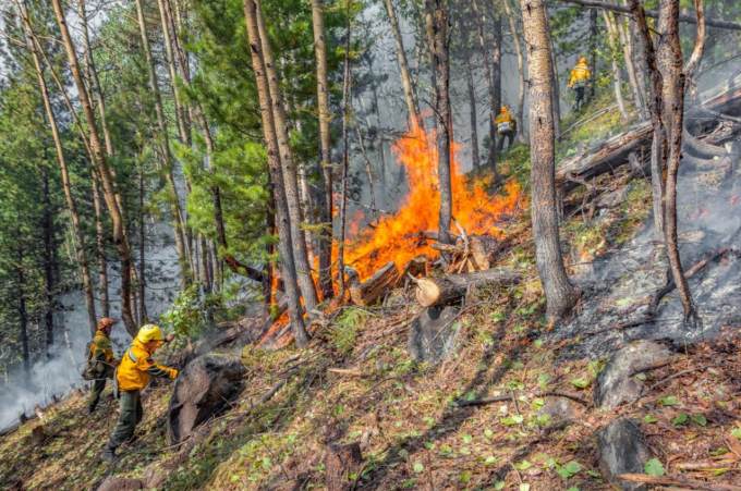 лесные пожары в Курганской области