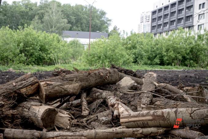 Власти Екатеринбурга заявили о неготовности парка Зеленая Роща к открытию