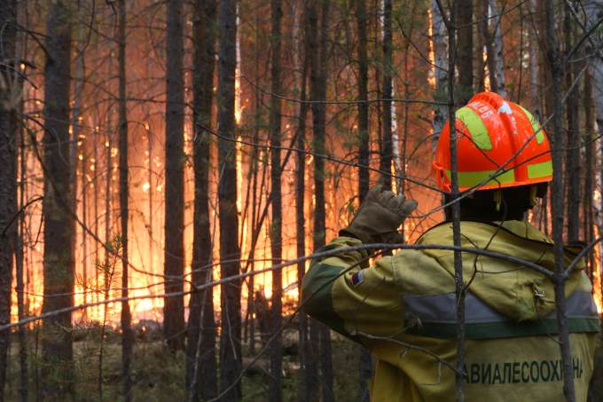 В Тюменской области усилят наказание для виновников лесных пожаров