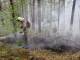 Площадь лесного пожара у свердловского поселка Полевой недалеко от Челябинского тракта увеличилась до 60 гектаров