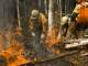 На Среднем Урале в районе Челябинского тракта снова горит лес