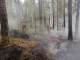В Екатеринбурге на Челябинском тракте ликвидируют крупный лесной пожар