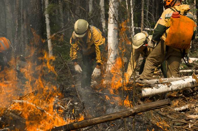 В Екатеринбурге горит два гектара леса