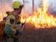 В Югре стабилизируется ситуация с пожарами