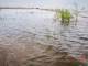 Стоимость восстановления озера Ханто на Ямале озвучат только в следующем году