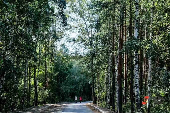 Сургут может получить дополнительные федеральные средства на благоустройство парков