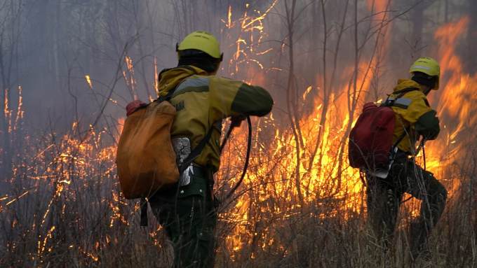 Площадь лесного пожара в Кондинском районе растет с высокой скоростью