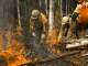 В ХМАО площадь лесных пожаров превысила 3 тысячи гектаров