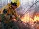 На территории Югры действуют четыре лесных пожара