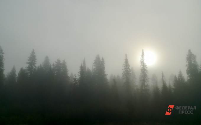 Ветер затянул на Ямал дым от лесных пожаров в Якутии