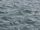 Курганская вода прошла проверку на чистоту