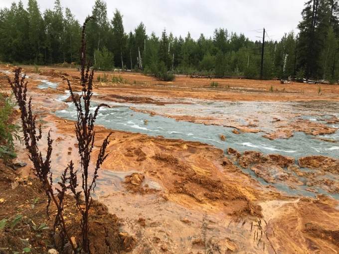 Росприроднадзор обнаружил загрязнение реки в уральской Левихе