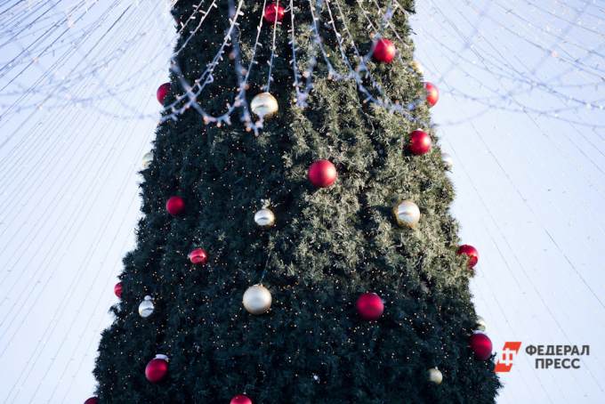 Новогоднюю елку в Кургане установят в середине декабря. Формат проведения праздника остается под вопросом