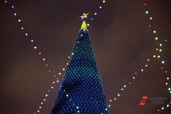 Глава свердловского УФАС не увидел ничего плохого в том, что новогоднюю елку в Екатеринбурге много лет устанавливает одна и та же компания