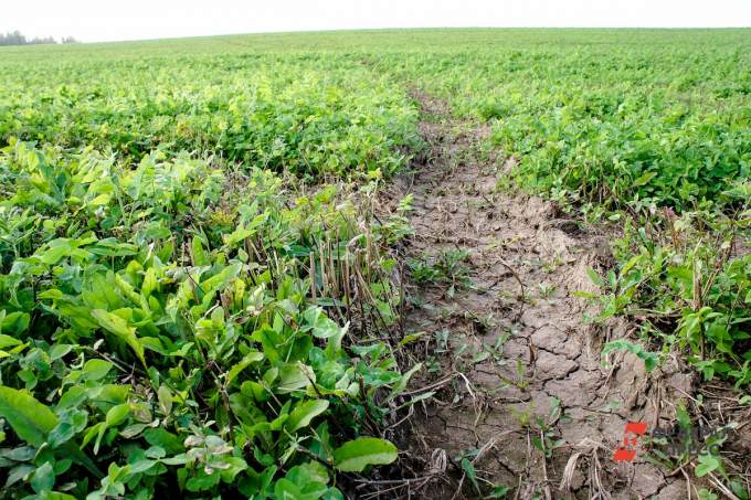 В Курганской области ущерб плодотворному слою почвы превысил 3 миллиона рублей