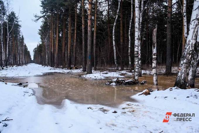 Стало известно, когда на Среднем Урале растает снег