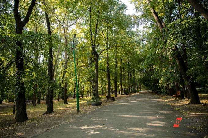 Варламов раскритиковал екатеринбургских чиновников за затопленные парки