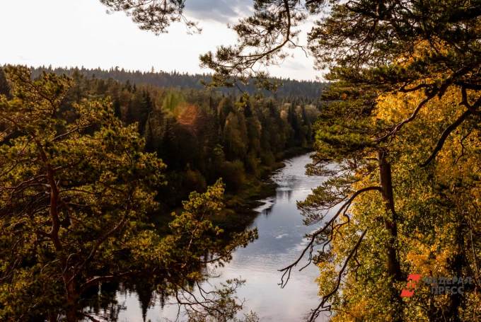 На Среднем Урале запретили посещать леса