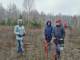 ​Участники проекта «Другое Дело» спасли 200 деревьев