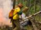 Следком организовал проверки по фактам распространения лесных пожаров в Югре
