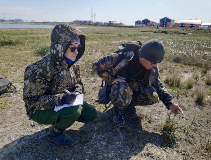 Ямальские учены разработают рецепт улучшения экологии в Сеяхе