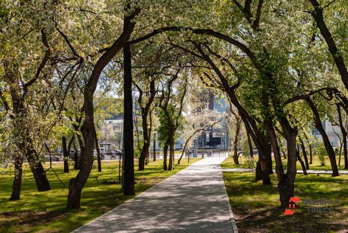 Жители Надыма считают, что городской парк пока не нуждается в реновации