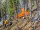 В ХМАО действуют два лесных пожара