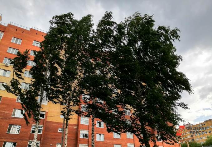 Ямальцам советуют держаться подальше от ветхих конструкций и деревьев