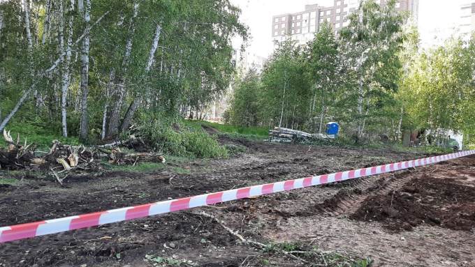 Вырубка леса под каток УралГУФКа