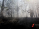 На Ямале назвали главную причину природных пожаров