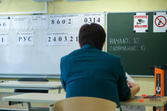 Депутат Лантратова предложила использовать студентов вместо учителей на экзаменах