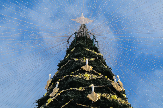 В Екатеринбурге на площади 1905 года начали устанавливать елку