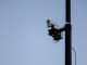 В Тюмени увеличат число камер видеонаблюдения