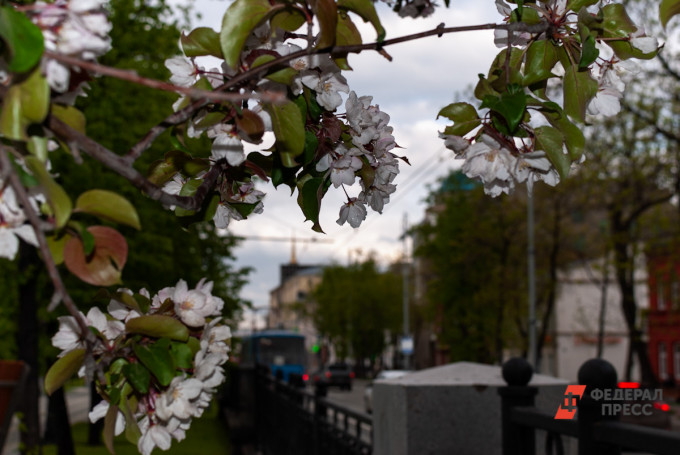 В Тюменской области потеплеет до +20 градусов