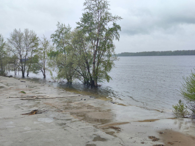 Губернатор Моор: в Ишиме уровень воды опустился ниже отметки «опасное явление»