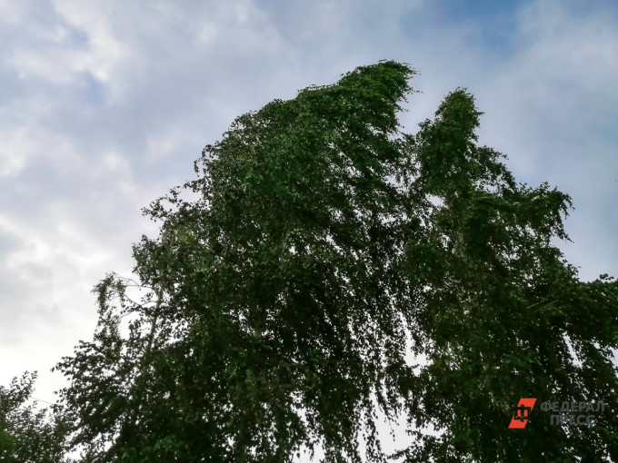 В ХМАО ожидается жара до +30 градусов, но будет сильный ветер