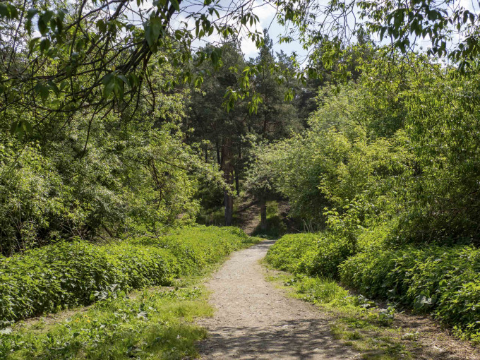 «А будет еще красивее»: губернатор Шумков анонсировал создание новых общественных мест
