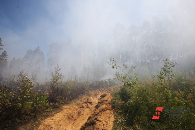 В Тюменской области действует лесной пожар