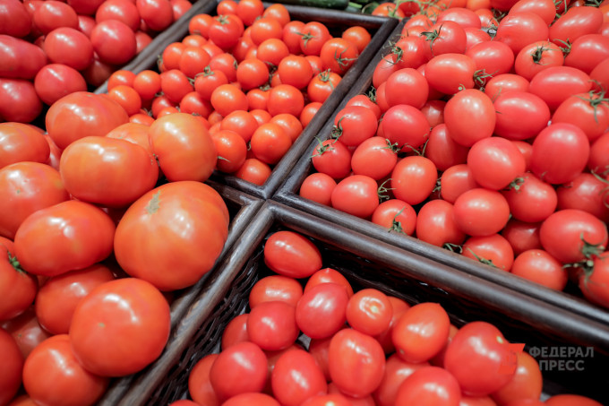 В Екатеринбурге уничтожат 840 килограммов зараженных томатов из Узбекистана