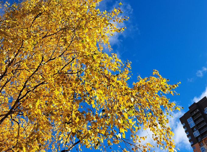 В ХМАО после минусовой температуры вновь потеплеет до +13 градусов