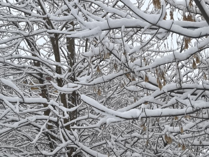 В Тюмени декабрь ожидается холоднее обычного, а январь и февраль – теплее