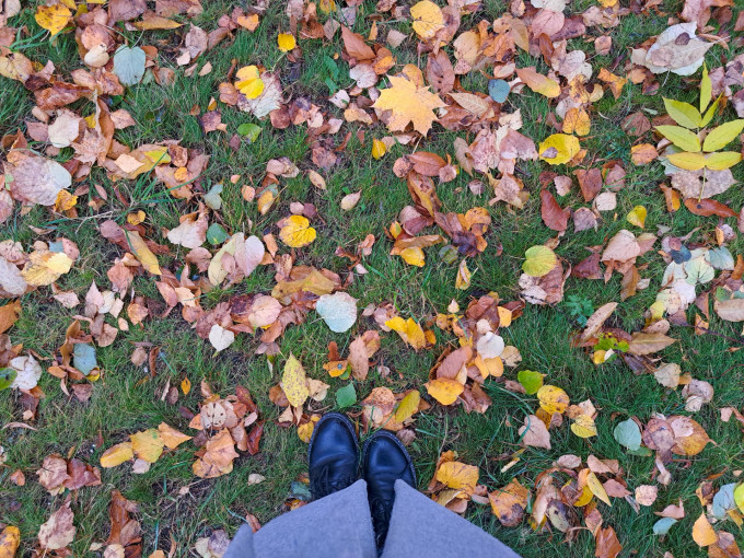 В ХМАО потеплеет до +12 градусов