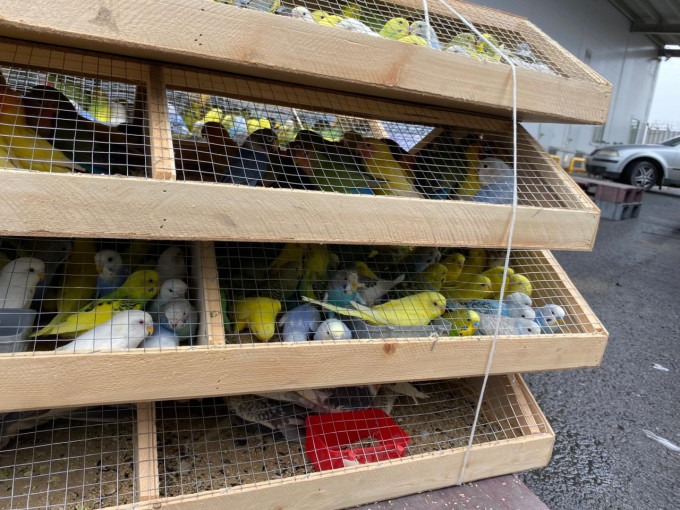 В Екатеринбург ввезли более 400 экзотических птиц