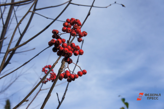 В ХМАО похолодает до -17 градусов
