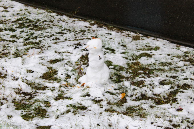 Тюменскую область накроет мокрый снег и сильный ветер